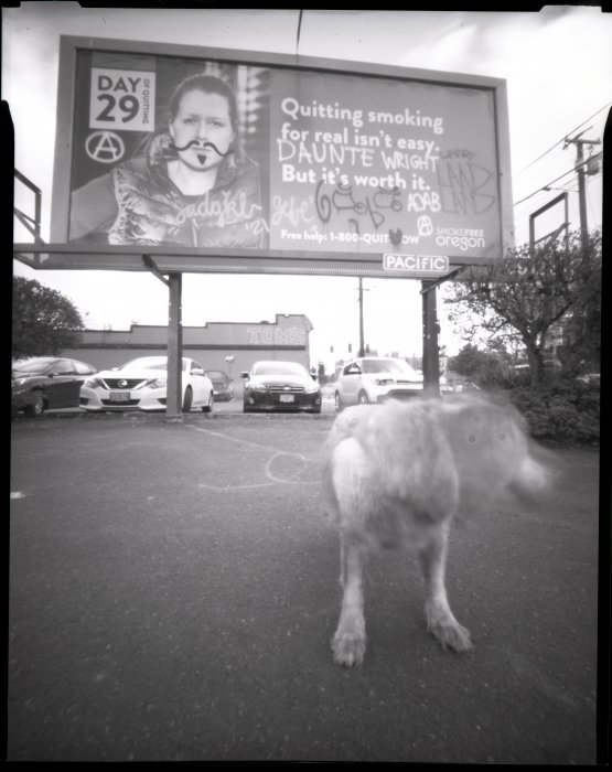 pinhole photograph