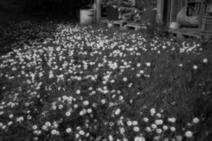 pinhole photograph