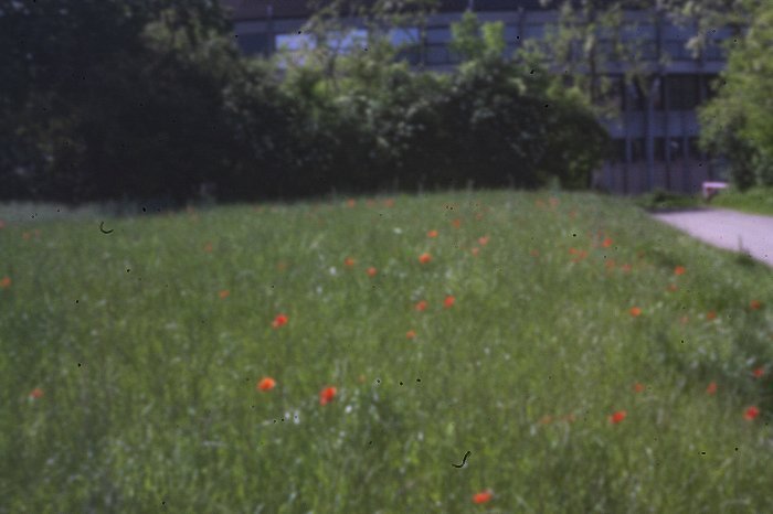 pinhole photograph