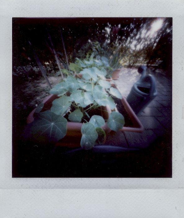 pinhole photograph