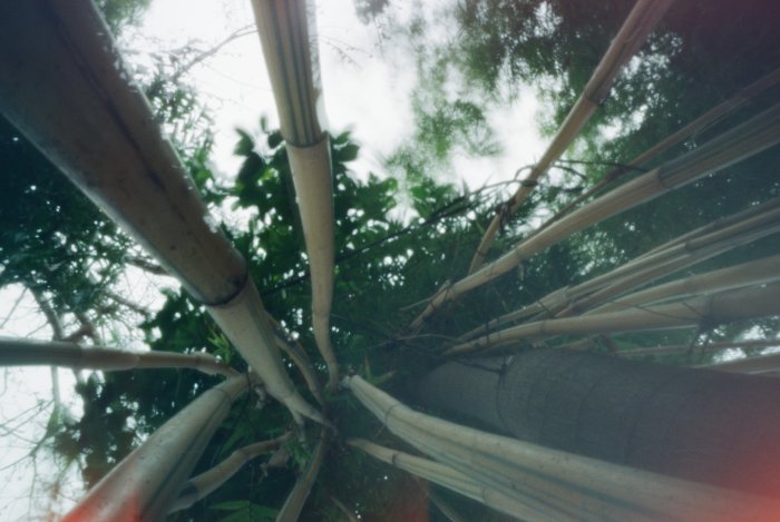 pinhole photograph