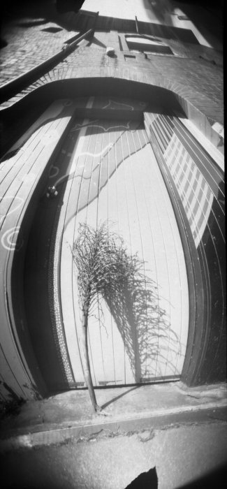 pinhole photograph