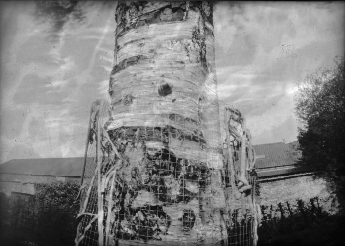 pinhole photograph