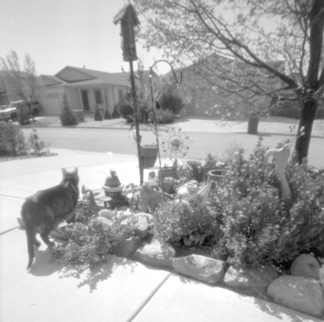 pinhole photograph