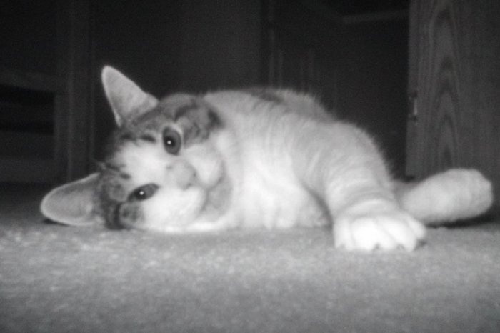 pinhole photograph