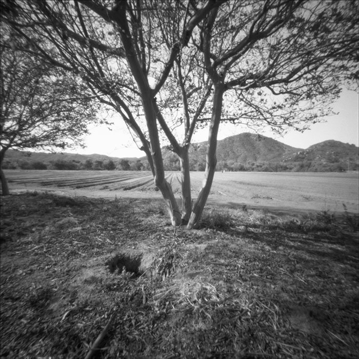 pinhole photograph