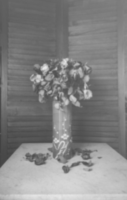 pinhole photograph