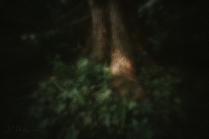 pinhole photograph