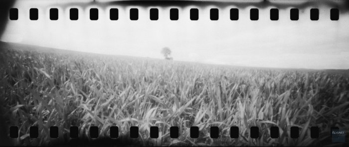 pinhole photograph