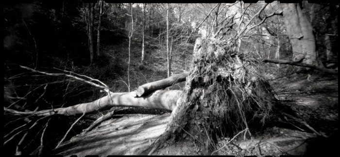 pinhole photograph