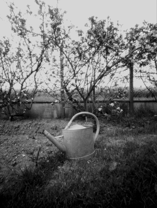 pinhole photograph