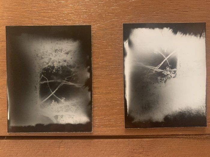 pinhole photograph