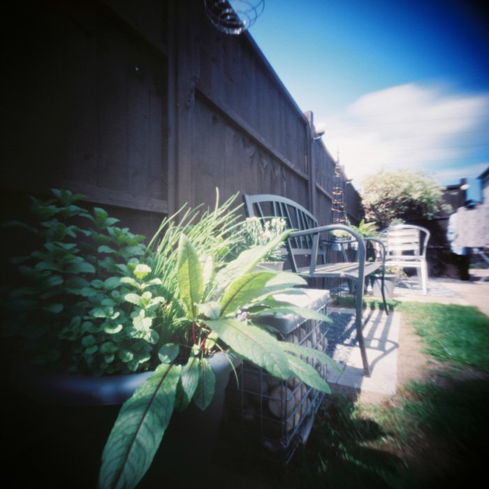 pinhole photograph