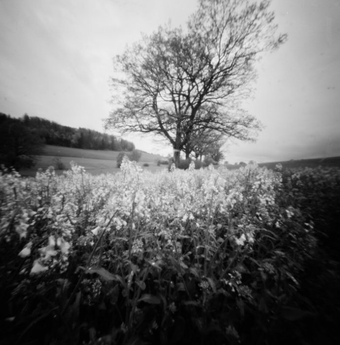 pinhole photograph