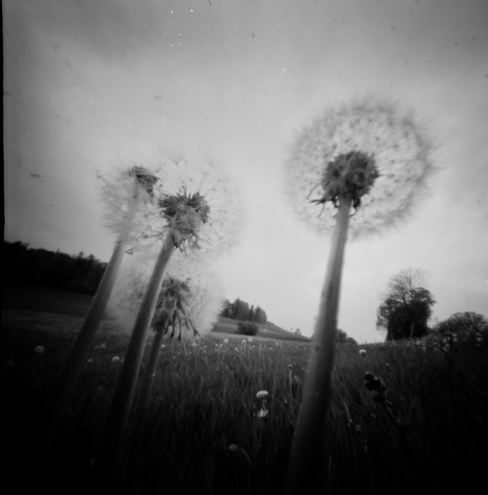 pinhole photograph