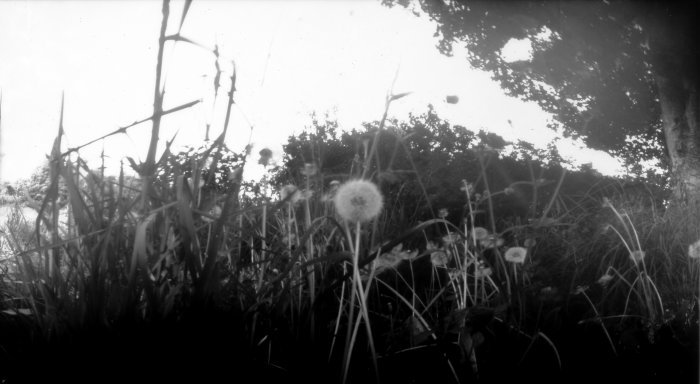 pinhole photograph