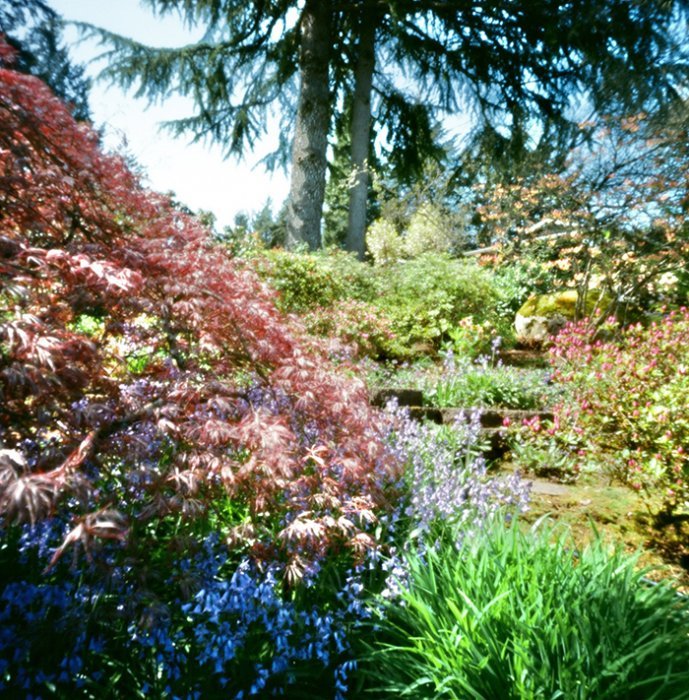 pinhole photograph