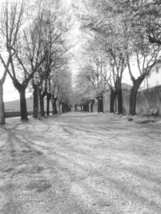 pinhole photograph