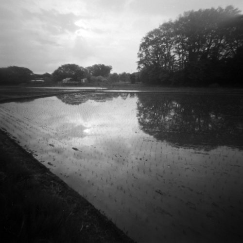 pinhole photograph