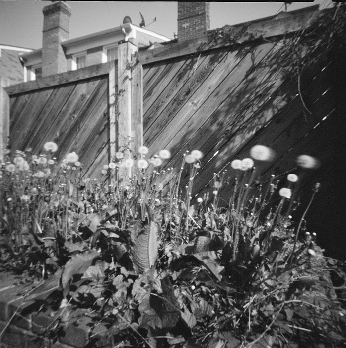 pinhole photograph