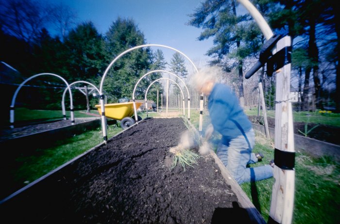 pinhole photograph