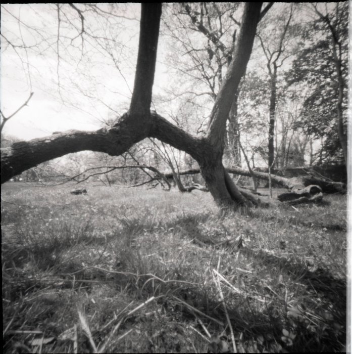 pinhole photograph