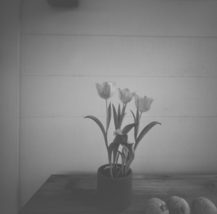 pinhole photograph