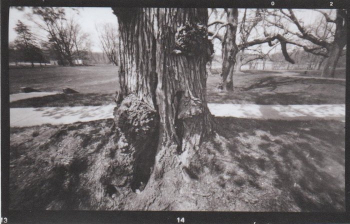 pinhole photograph