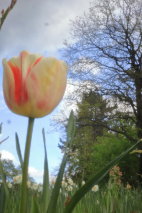 pinhole photograph