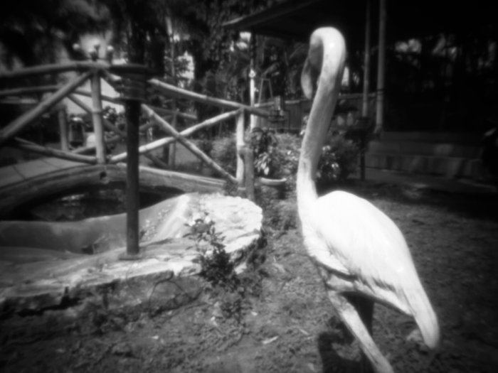 pinhole photograph