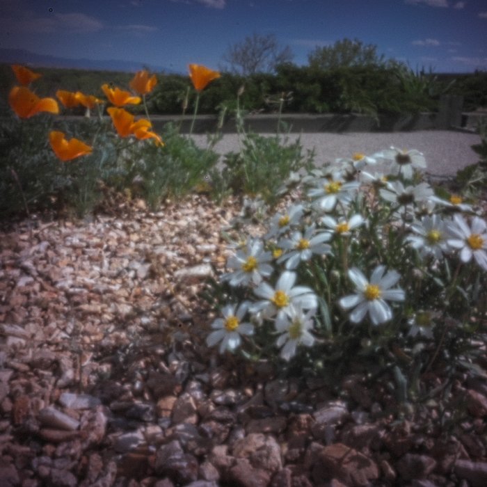 pinhole photograph