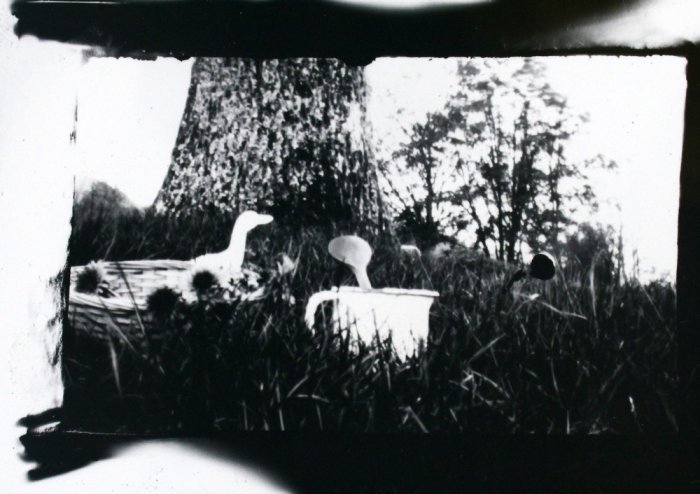 pinhole photograph