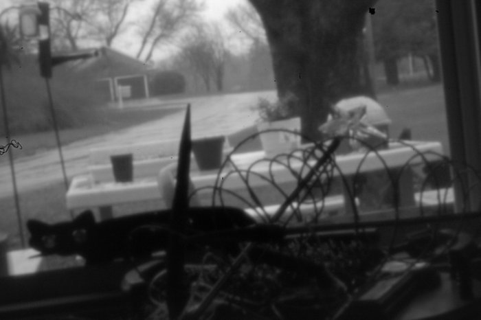 pinhole photograph