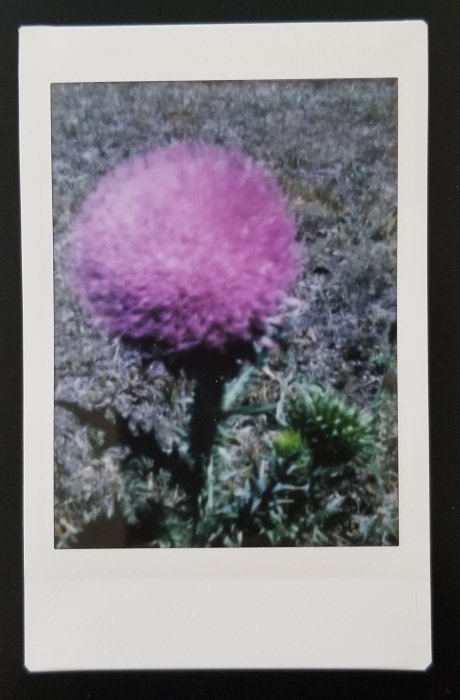 pinhole photograph