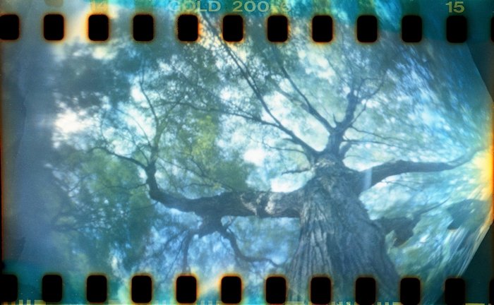 pinhole photograph