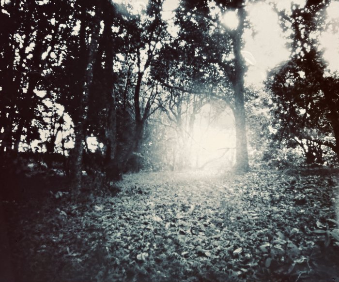 pinhole photograph