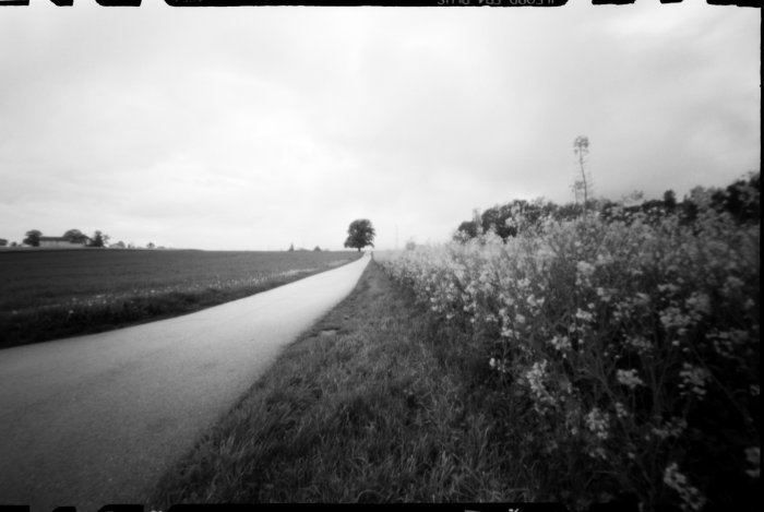 pinhole photograph