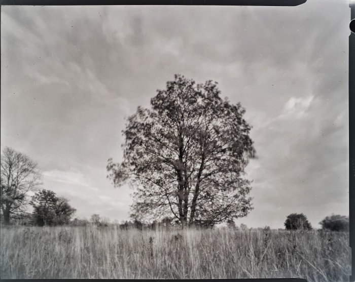 pinhole photograph