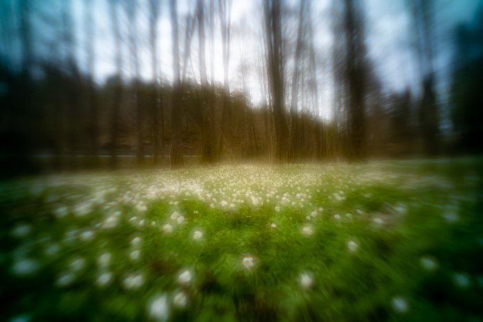 pinhole photograph