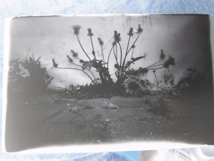 pinhole photograph