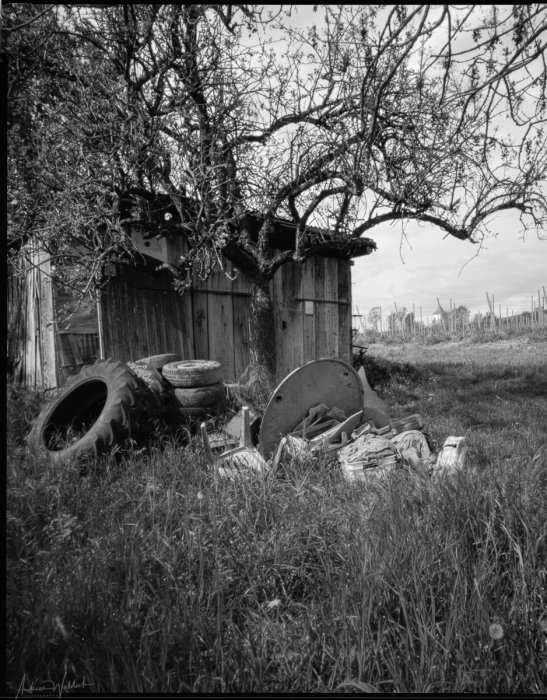 pinhole photograph