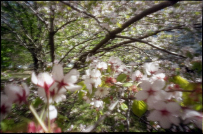 pinhole photograph