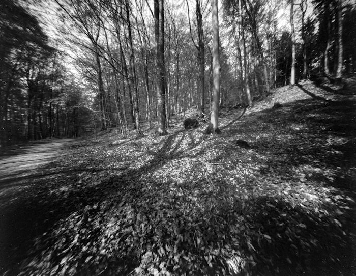 pinhole photograph