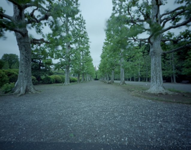 pinhole photograph