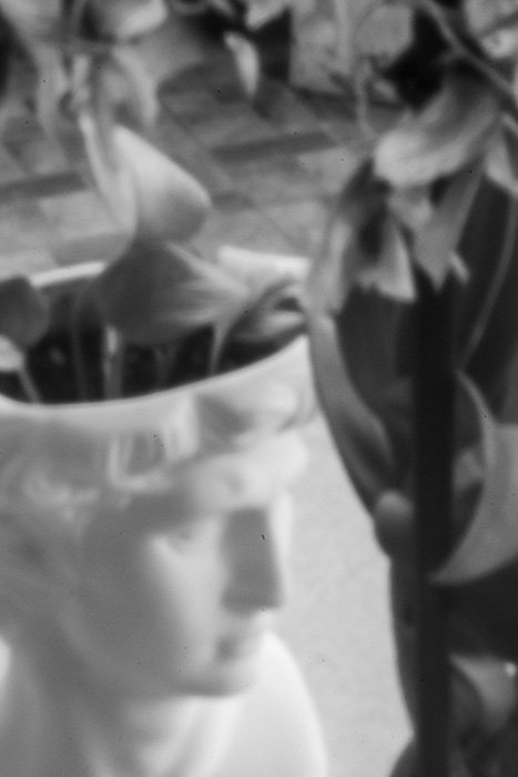 pinhole photograph