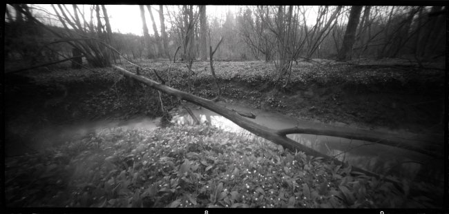 pinhole photograph