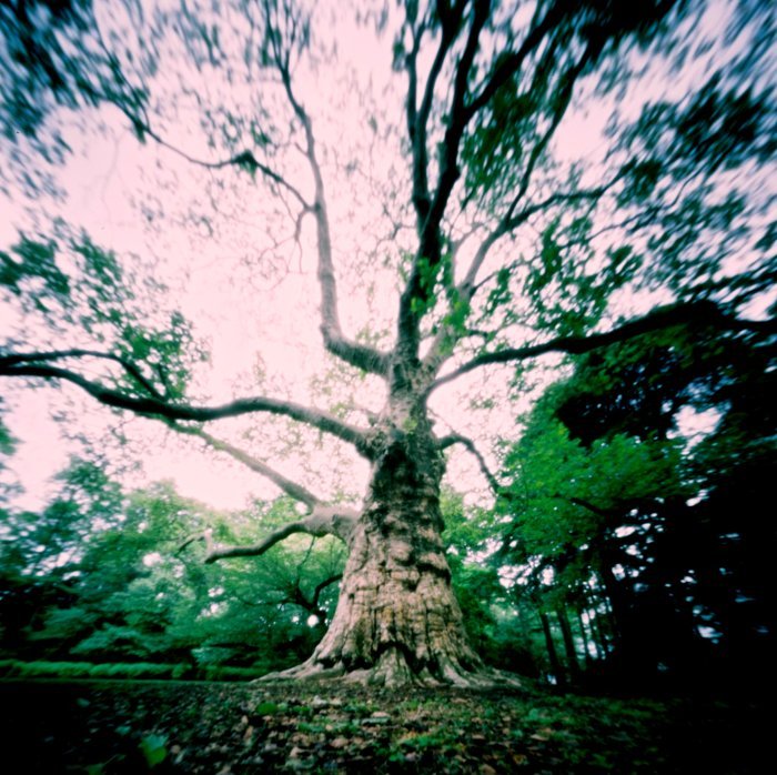 pinhole photograph