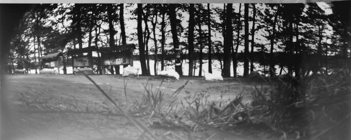 pinhole photograph