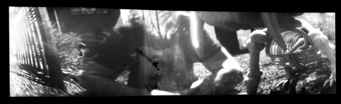 pinhole photograph