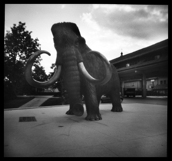 pinhole photograph